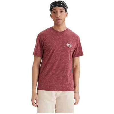 Quiksilver Dola Injected Slub T-shirt Met Korte Mouwen Rood S Man