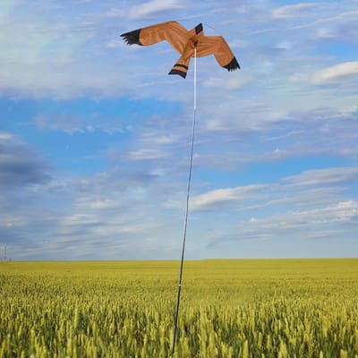 Vogelverschrikker Vlieger - Havik Vlieger Tuin - Vogels Afschrikken - Uitschuifbare Paal - Niet gespecificeerd - Niet gespecificeerd