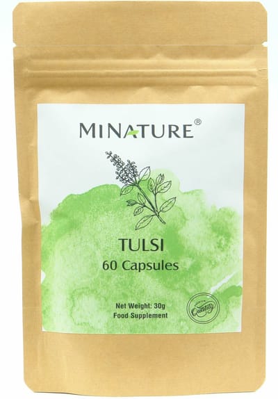 Tulsi Capsules 60 stuks - 450mg Poeder van Ocimum Sanctum Bladeren per Vegan Capsule - 100% Plantaardig