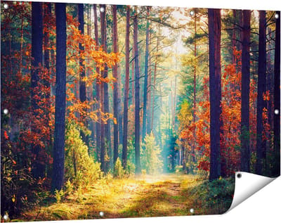 Gards Tuinposter Herfstbos met Zonneschijn - Kleur - 120x80 cm - Tuindoek - Tuindecoratie - Wanddecoratie buiten - Tuinschilderij