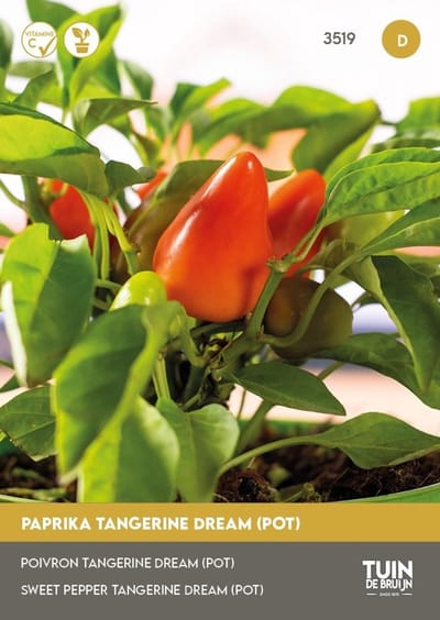 Tuin de Bruijn Paprika Zaden – Tangerine Dream – Potpaprika – Balkon & Moestuin – Zoete Oranje Paprika – ca. 10 Zaden