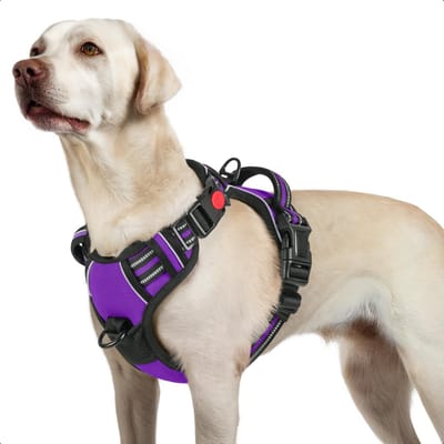 JAXY Hondenharnas - Hondentuig - Hondentuigje Kleine Hond - Y Tuig Hond - Harnas Hond - Anti Trek Tuig Hond - Reflecterend - Maat L - Paars