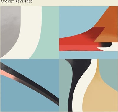 Various Artists - Avocet Revisited (CD)