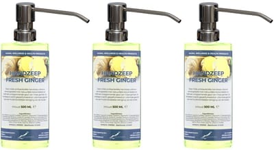 Handzeep Fresh Ginger 500 ml - set van 3 stuks - met gratis RVS zilverkleurige pomp - Voordeelverpakking