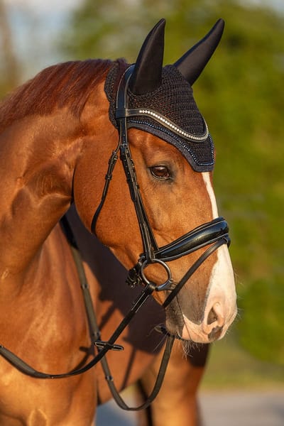 Horsegear Hoofdstel Horsegear Hggreylin Zwart