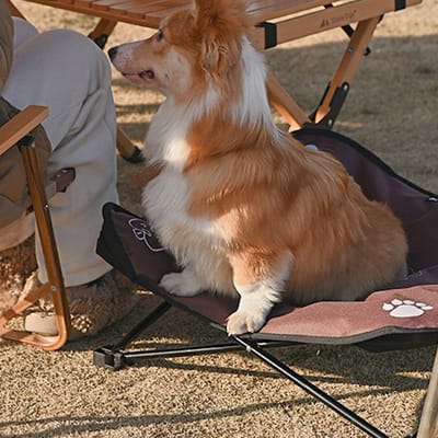 ShineTrip Verhoogd Honden Katten Bed Camping Opvouwbaar Huisdieren Bed Aluminium Legering met Draagtas voor Binnen & Buiten Gebruik groen
