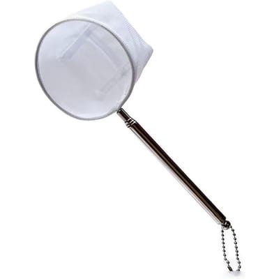 Épuisette pour crevettes d'aquarium Acier inoxydable Crevettes d'eau salée Épuisette d'aquarium Épuisette à poissons avec manche extensible pour