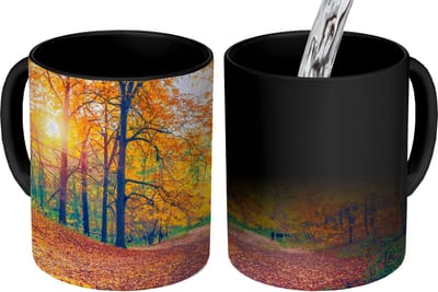 Magische Mok - Foto op Warmte Mokken - Koffiemok - Bomen - Herfst - Bos - Herfstbladeren - Magic Mok - Beker - 350 ML - Theemok