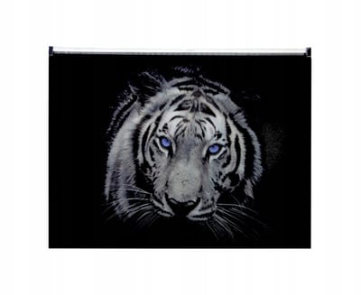 Panta Plast A4 Map met Rits - Veelkleurige PP Organizer