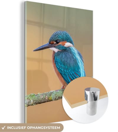 MuchoWow® Glasschilderij 30x40 cm - Schilderij acrylglas - Vogel - IJsvogel - Dieren - Tak - Foto op glas - Schilderijen
