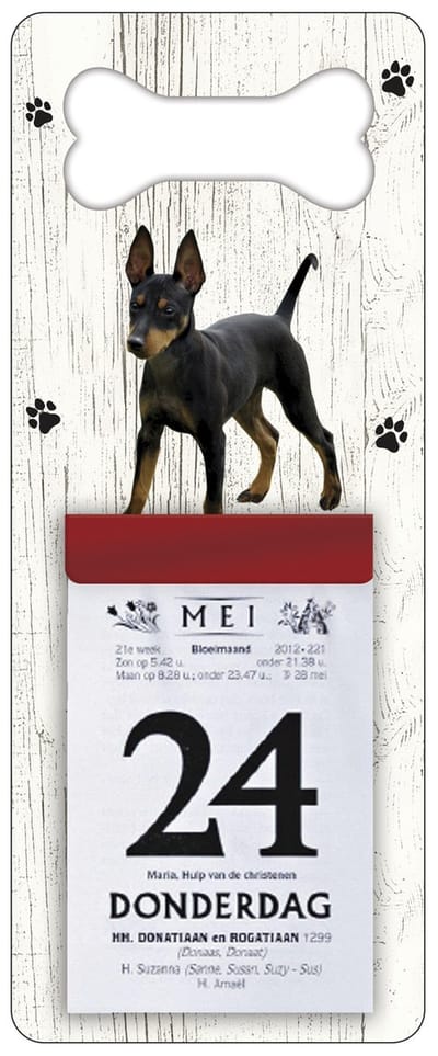Scheurkalender 2027 Hond: Doberman Pinscher
