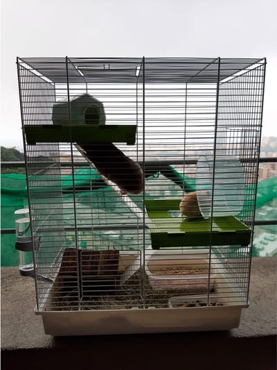 Hamsterkooi met Hamsterspeelgoed - Rattenkooi - Hamster Kooi met 3 Verdiepingen - Wit