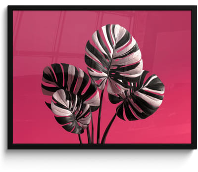 Poster in lijst - Fotolijst 80x60 cm - Posters - Bladeren - Rond - Roze - Posterlijst zwart - Decoratie - Wanddecoratie woonkamer - Muurdecoratie slaapkamer