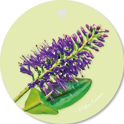 Tallies Cards - kadokaartjes  - bloemenkaartjes - Blanco A - Flowerpower - set van 5 kaarten - zonder tekst - zonder boodschap - blanco - 100% Duurzaam