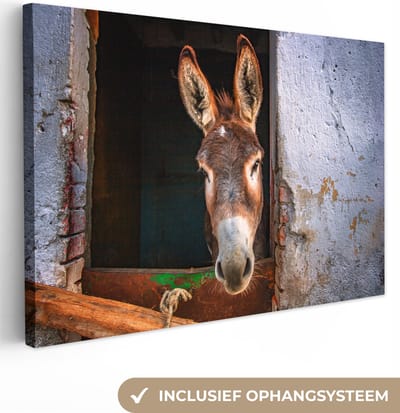 Canvas Schilderij Ezel in de stal - 90x60 cm - Wanddecoratie