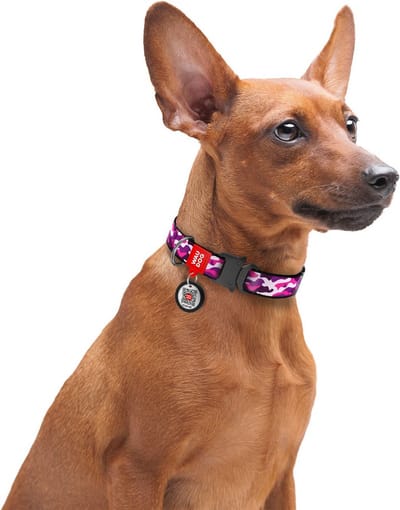WAUDOG Pink Camo Halsband / Hondenhalsband - Nylon - Metalen Fastex Sluiting - M - Breedte: 25 mm - Nekomtrek: 31 - 49 cm (GELIEVE ALVORENS BESTELLEN OPMETEN)
