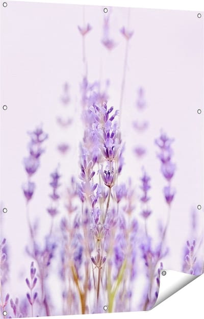 Gards Tuinposter Paarse Lavendel Bloemen - 90x120 cm - Tuindoek - Tuindecoratie - Wanddecoratie buiten - Tuinschilderij