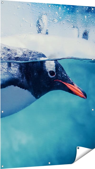 Gards Tuinposter Pingu�n Zwemt in het Water - 100x150 cm - Tuindoek - Tuindecoratie - Wanddecoratie buiten - Tuinschilderij