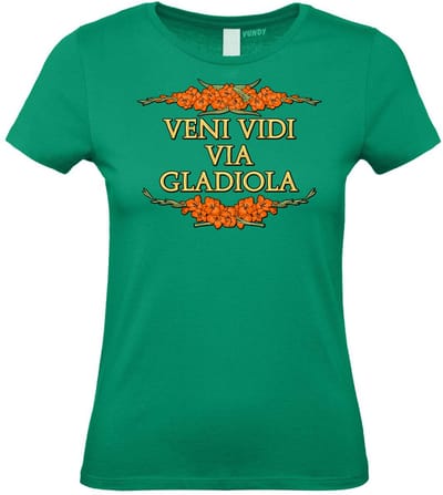 Dames t-shirt Veni Vidi Via Gladiola | Vierdaagse shirt | Wandelvierdaagse Nijmegen | Roze woensdag | Groen | maat XS