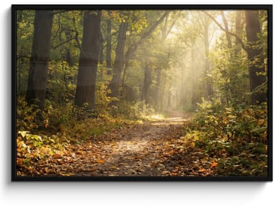 Poster in lijst - Fotolijst 120x80 cm - Posters - Zonlicht - Bospad - Bomen - Posterlijst zwart - Decoratie - Wanddecoratie woonkamer - Muurdecoratie slaapkamer