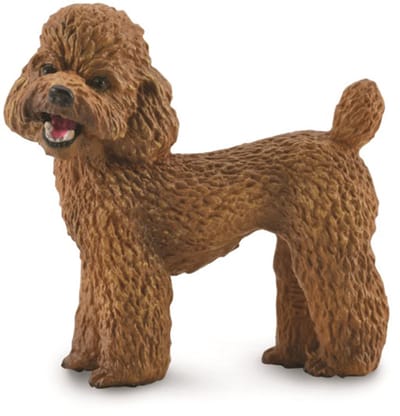 COLLECTA Figurine - Poedel - (M) - Honden - Handgeschilderd - Miniatuur