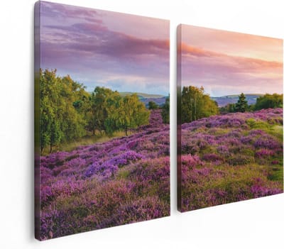 Artaza Canvas Schilderij Tweeluik Paarse Weide - 120x80 - Foto Op Canvas - Canvas Print