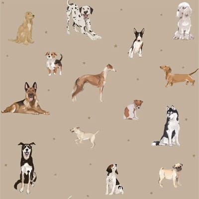 Baby behang Dekornik Dogs Are The Best