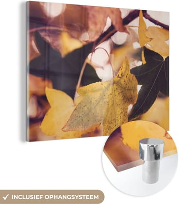 MuchoWow® Glasschilderij 40x30 cm - Schilderij acrylglas - Bladeren - Esdoorn - Herfst - Seizoenen - Foto op glas - Schilderijen
