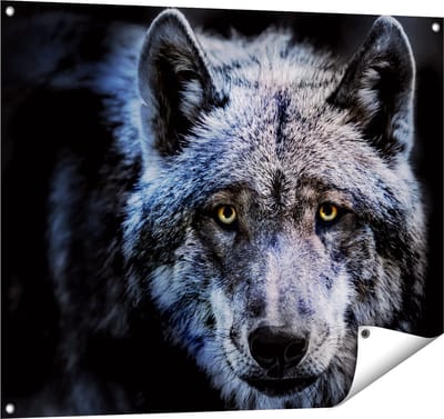 Gards Tuinposter Grijze Wolvenkop - Wolf - 100x80 cm - Tuindoek - Tuindecoratie - Wanddecoratie buiten - Tuinschilderij