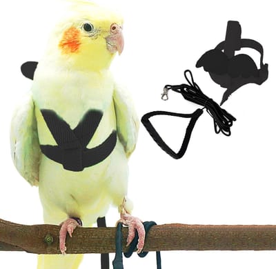 Lexium Vogel harnas - Vogel tuigje - Vogel riem - Vogelharnas - Tuigje voor vogels