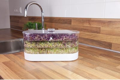 Buzzy® Organic Sprouting Tower 3 laags