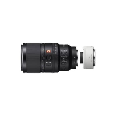 Sony SEL 100mm f/2.8 Macro GM OSS + SEL-20TC 2,0x teleconverter