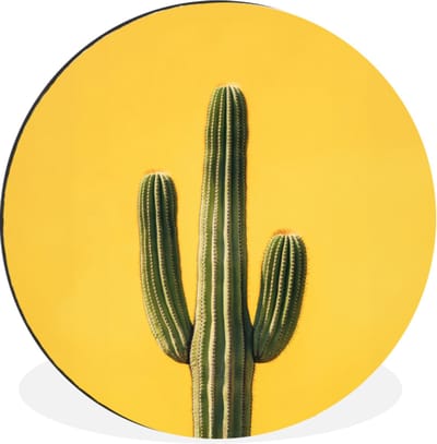 WallCircle - Wandcirkel - Muurcirkel - Cactus - Groen - Minimalistisch - Aluminium - Dibond - 30x30 cm - Binnen en Buiten