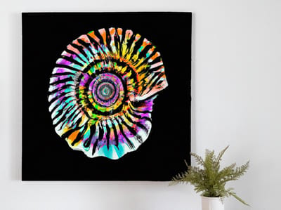 Colorful clam burst | Colorful Clam Burst | Kunst - 60x60 centimeter op Canvas | Foto op Canvas