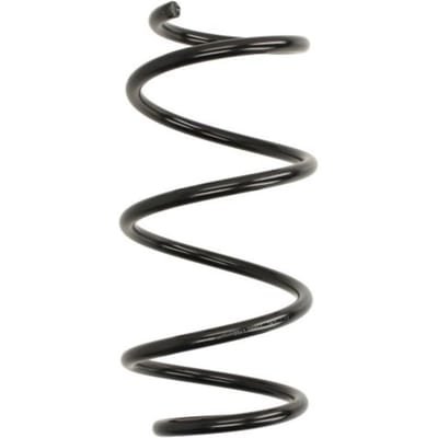 Chassisveer MAGNUM TECHNOLOGY SW176