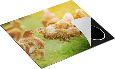 Chefcare Inductie Beschermer Kippen op het Gras - 60x50 cm - Afdekplaat Inductie - Kookplaat Beschermer - Inductie Mat
