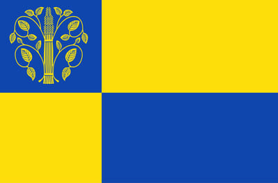 Vlag Westerwolde 70x100cm