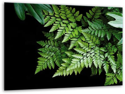 TMK ArtDeko - Snijplank - Glas - 40x30cm - Antislip