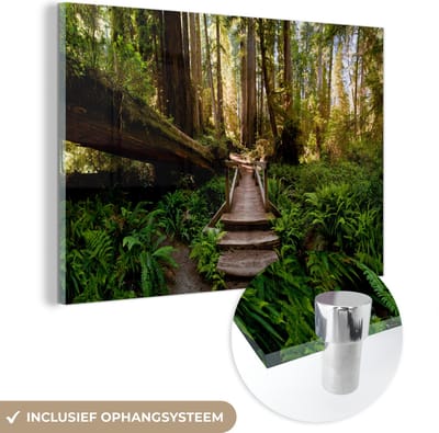 MuchoWow® Glasschilderij 90x60 cm - Schilderij acrylglas - Jungle - Natuur - Trap - Bomen - Foto op glas - Muurdecoratie woonkamer - Wanddecoratie slaapkamer - Schilderijen