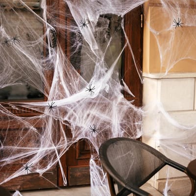 Dailygoods- Spinnenweb XL 300 g - 1800 m² Dekking - 50 Kunstspinnen - Halloween Decoratie - Griezelige Sfeer - Perfect voor Feestjes