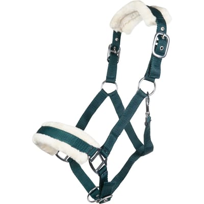 Bont halster voor paard HKM Bischofshofen