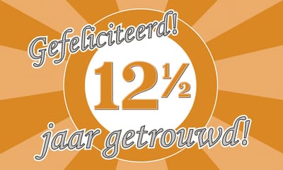 Q2P – 12,5 Jaar Gevelvlag – 150×90 cm XXL – Jubileum Versiering - Vlaggenlijn – Binnen & Buiten - Vlag