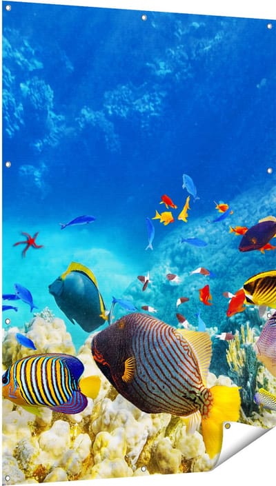 Gards Tuinposter Vissen in de Oceaan met Koralen - 100x150 cm - Tuindoek - Tuindecoratie - Wanddecoratie buiten - Tuinschilderij