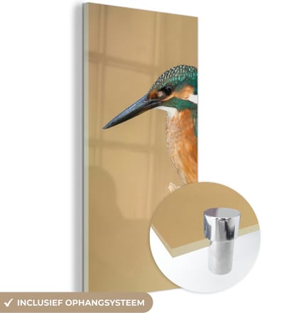 MuchoWow® Glasschilderij 20x40 cm - Schilderij acrylglas - IJsvogel - Dieren - Vogel - Foto op glas - Schilderijen