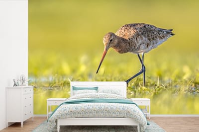 Behang - Fotobehang Vogels - Gras - Landschap - Grutto - Breedte 330 cm x hoogte 220 cm
