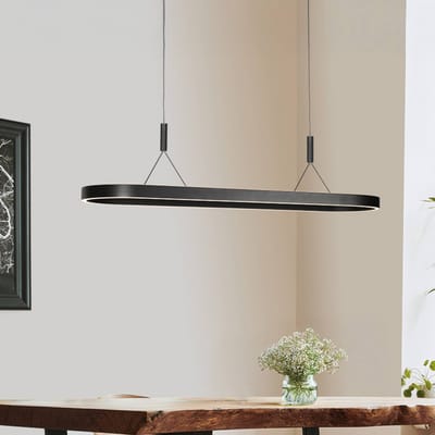 Steinhauer Exclusive - hanglamp - Mykty - zwart - metaal - design lamp - LED - 4205ZW