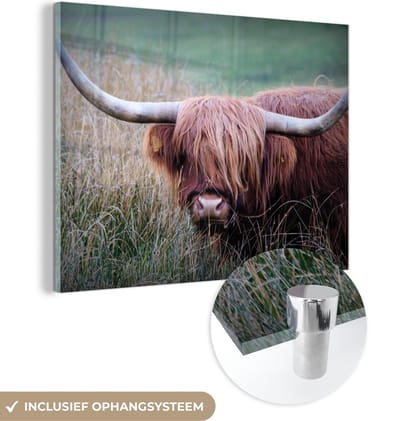 MuchoWow® Glasschilderij 160x120 cm - Schilderij acrylglas - Schotse Hooglander - Hoorns - Gras - Foto op glas - Schilderijen