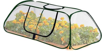 Draagbare Kweekkas - Mini Kas PVC - Planten Beschermen - Met Deur Gemakkelijk - 115x55x45cm