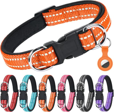 Reflecterende nylon hondenhalsband met neopreen kussentje en dubbele D-ring - verstelbare en comfortabele halsband voor honden