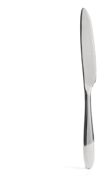 RVS Messenset 4 Stuks – Roestvrijstalen Tafelmessen – Stainless Steel Bestek Set – Vaatwasserbestendig – Ergonomische Handgreep – Moderne Keukenmessen voor Dagelijks Gebruik [57572]
